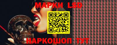 индика Гусев