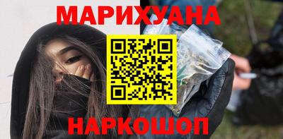 индика Гусев