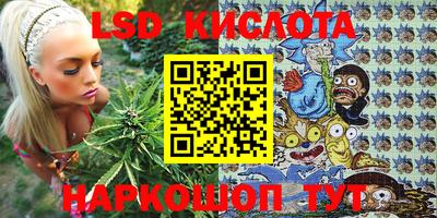 индика Гусев