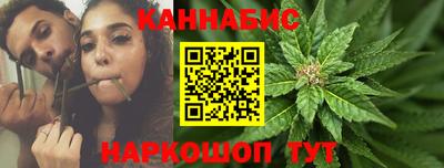 индика Гусев