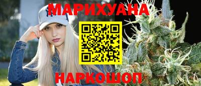 индика Гусев