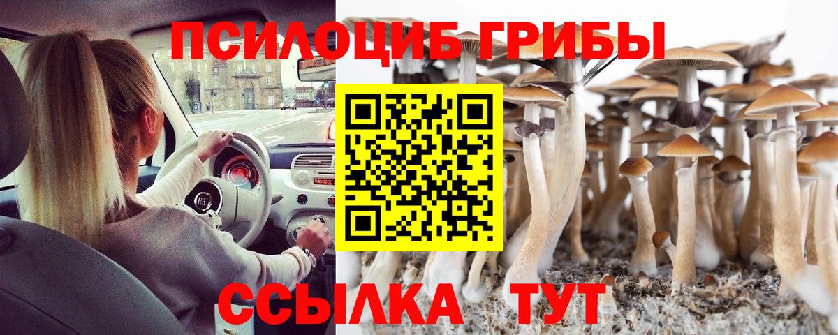 Галлюциногенные грибы Psilocybe  Вход с VPN  Волжск 