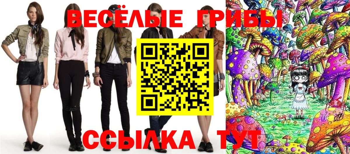 Галлюциногенные грибы прущие грибы Волжск
